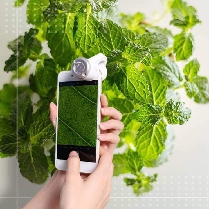 Microscopio LED per telefono cellulare - immagine 2