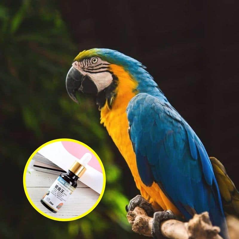 Vermifugo PlantGenic per uccelli - immagine 3