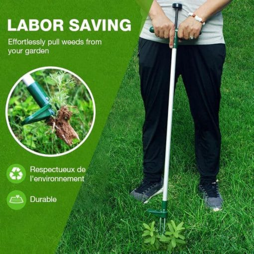 Strumento per rimuovere le radici delle piante in piedi